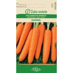 🎁️ Burkani Darina